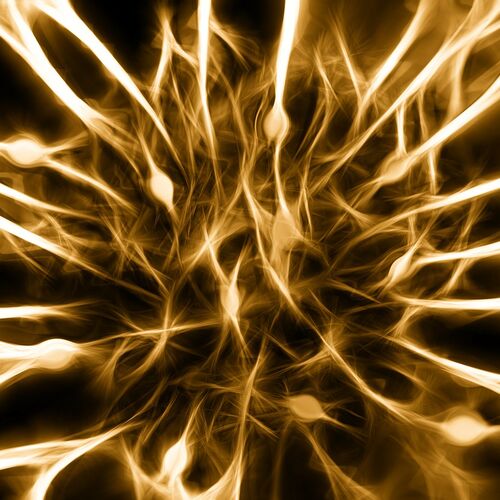 Alpha Synapsen Programmierung